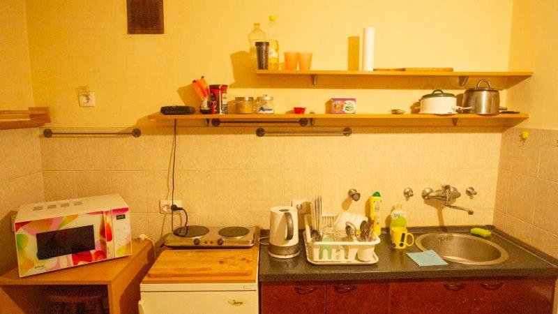 Private Cozy Room 2 With Shared Kitchen In Appartment Beograd Eksteriør billede